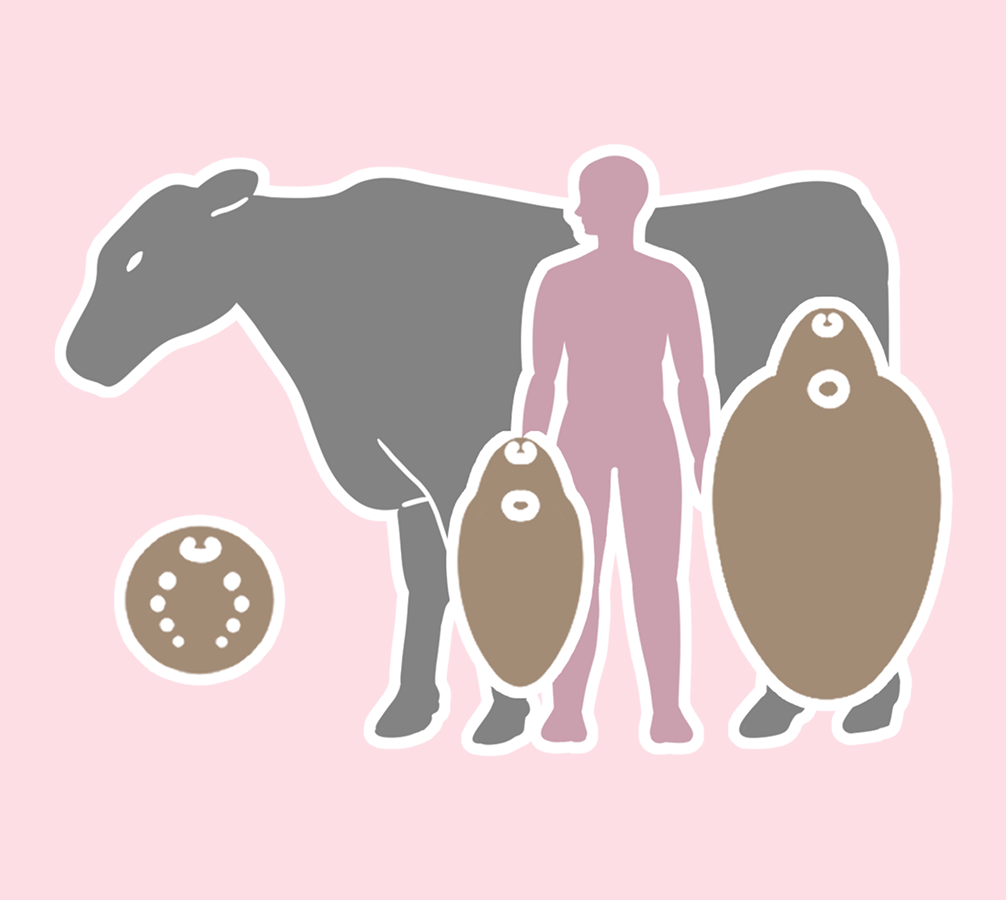 哺乳類班