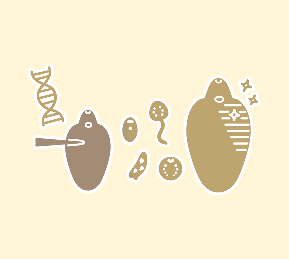 遺伝子改変班